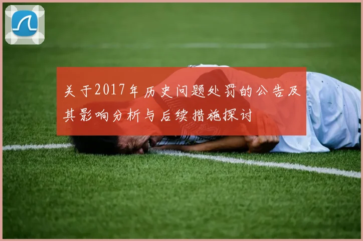 关于2017年历史问题处罚的公告及其影响分析与后续措施探讨